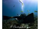 Cursos de Buceo Dominicana | Dolindivecenter.com