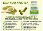 Moringa Magic 