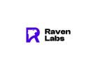 Account in Zoho CRM  - Raven Labs