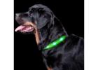 Rechargeable LED Collars: Eco-Friendly and Safe