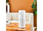 Breathe Cleaner, Healthier Air at Home