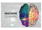 How Machine Learning is Transforming Our World