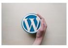 Invoidea is a Leading Wordpress Development Company in India