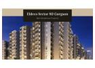 Birla Sector 58 Gurgaon: Ideal Residential Property 