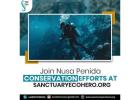 Join Nusa Penida Conservation Efforts at Sanctuary Eco Hero