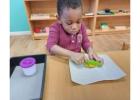 Discover the Magic of Montessori Toddler Education