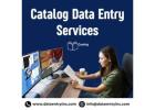 Best Catalog Data Entry Services in India