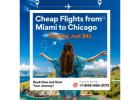 Fly Affordable – Cheap Flights from Miami to Chicago Starting at $41