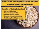 Lotus Seeds: The Superfood You’ve Been Missing Out On