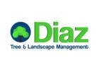 Diaz Tree and Landscape Management