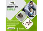 Pest control Roseville - Finley Home Service