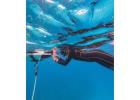 AIDA Courses Online Bayahibe | Freedivingdr.com