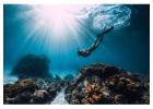 Saona Island Freediving | Freedivingdr.com