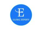 Global Experts Plus: Your Partner in Business & Management Consultancy