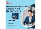 Best Digital Marketing Company in Mohali..!