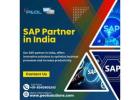 SAP Partner in India