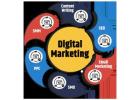 Grow Your Brand with the Best Digital Marketing Experts in Delhi