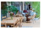 Stylish & Durable Cafe Furniture for Sale