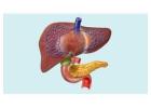 Liver and Pancreas Specialist in Ludhiana