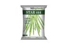 Buy Online Star 444 Moong Seeds in India - Star Agri Seeds