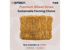 Wheat Straw Premium Agricultural Biomass | Zarea Limited