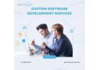 Custom Software Development Services Tailored to Your Needs