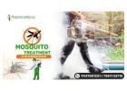 Effective Mosquito Treatment in Bhubaneswar