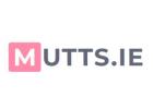 Mutts Pet Shop 