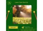 Professional Lawn Fertilizer and Weed Control Solutions