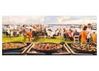 Premium Paella Catering Services in Perth