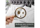 Bed Bug Control in Bangalore: Say Goodbye to Sleepless Nights