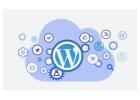 Expert Custom WordPress Plugin Development