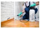 Protect Your Property with Smithereen Pest Control in Indianapolis