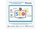 Budget-Friendly SEO Solutions for Small Businesses