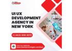 What Services Can Be Expected From UI UX Development Agency In New York?