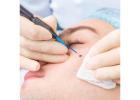 Effective Mole Removal in Maryland at Maryland Specialty Group