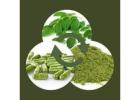 Moringa Magic | Supplements - Health