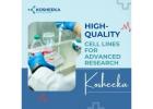 High-Quality Cell Lines for Advanced Research – Kosheeka