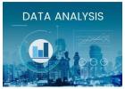 Hire the Best Data Analytics Consulting for Every Industry!