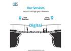 Unlock Growth with MIB IT Solutions Your Partner for Digital Success