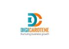 Digital Marketing Services in Hyderabad - Boost Your Brand with DigiCarotene