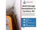 Mold Damage Remediation in Carrboro, NC|Cary, NC|Hillsborough, NC