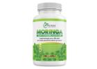 Moringa Magic