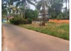 Orchard Land For Sale In Goa is ideal for an agricultural enthusiast