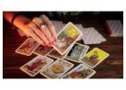 Divine - Trusted Tarot Card Reader in Mumbai