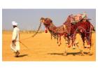 Jaisalmer Hotels