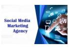 Social Media Marketing Agency | Poppy Pulse