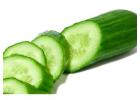 Cucumber Extract Manufacturers and Suppliers in India | Atomm Botanicals