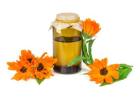 Calendula Oil Manufacturers and Suppliers in India | Atomm Botanicals