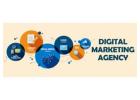 Hire The Best Digital Marketing Agency in Delhi For Online Presence